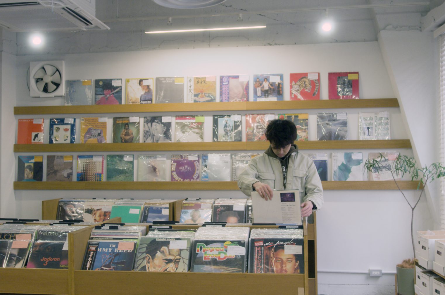 レコード×映画 レコード屋が舞台になっている映画作品【bacter】