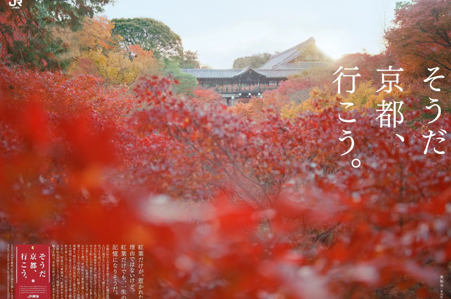 秋の京都を体感!「そうだ 京都、行こう。」2025年度版CMの魅力を紐解く